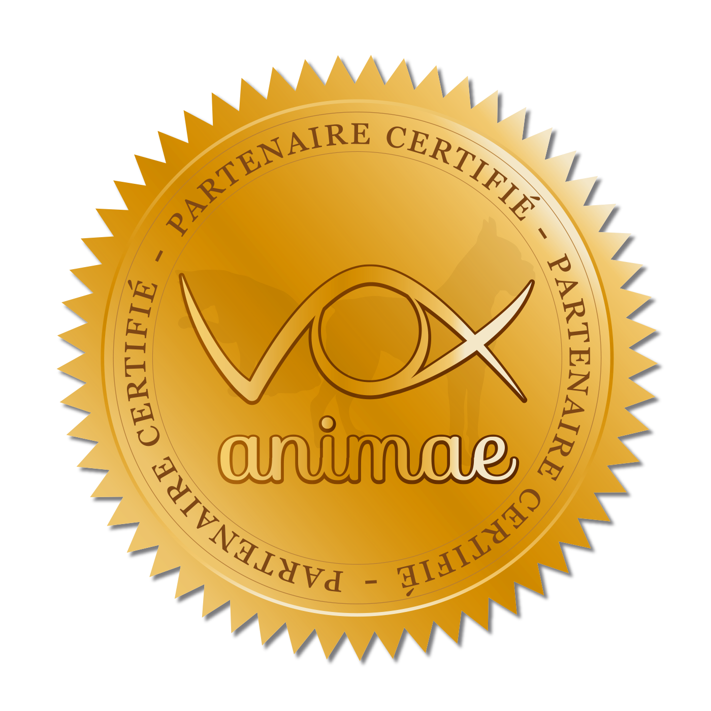 Partenaire Réseau Vox Animae